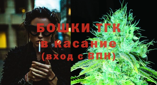 гидропоника Бородино