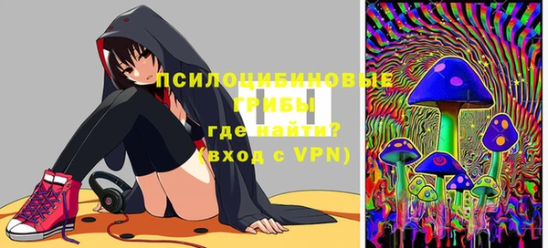 дживик Туринск