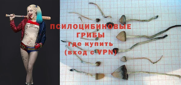 гидропоника Бородино
