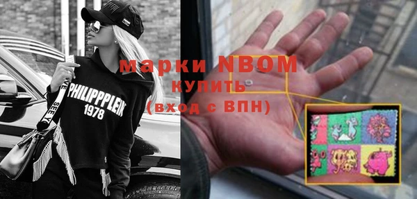 молекула духа Бронницы
