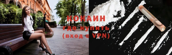 молекула духа Бронницы